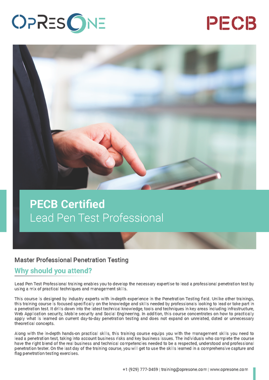 Lead Pen Test Professional